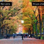 Oakley Prizm 24K Lens Review